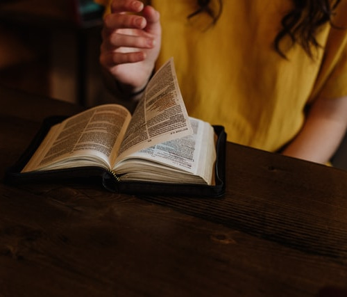 A woman studying from a book