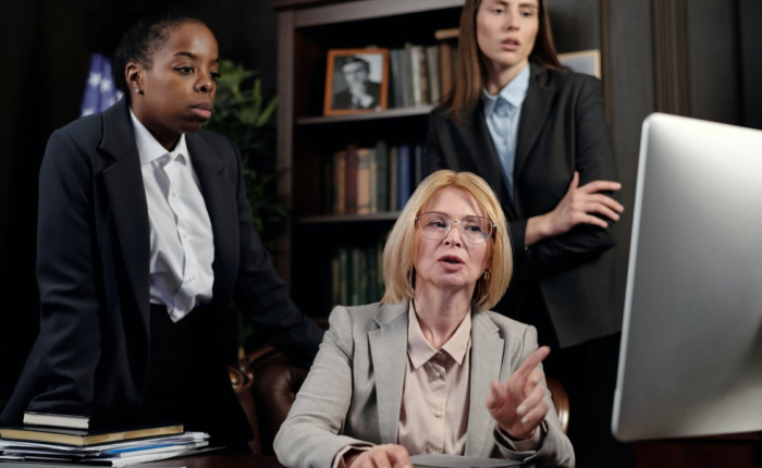 female lawyers looking at the computer screen