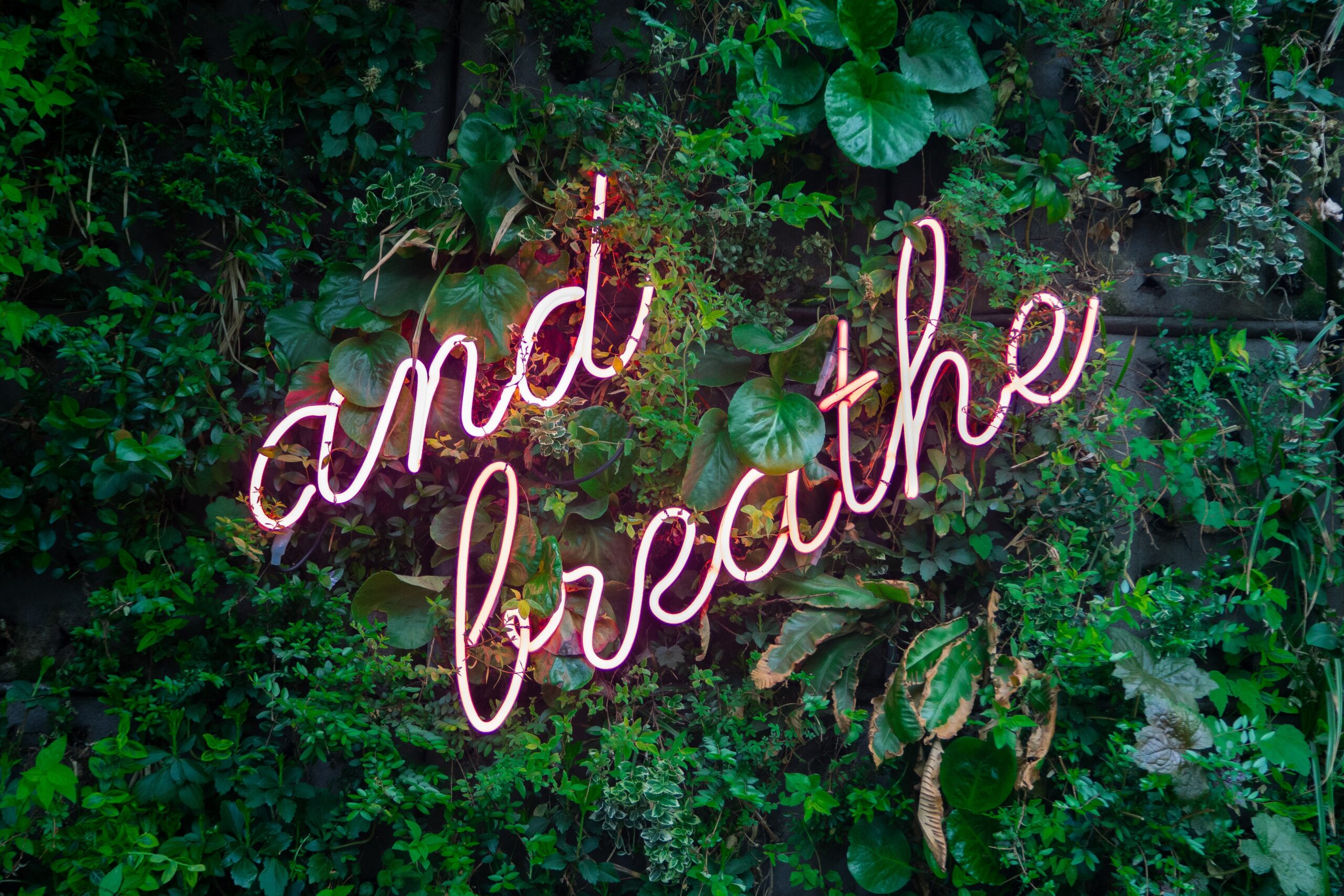 breathe, relax, self care
