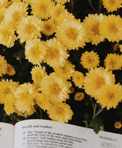 Bible with flowers