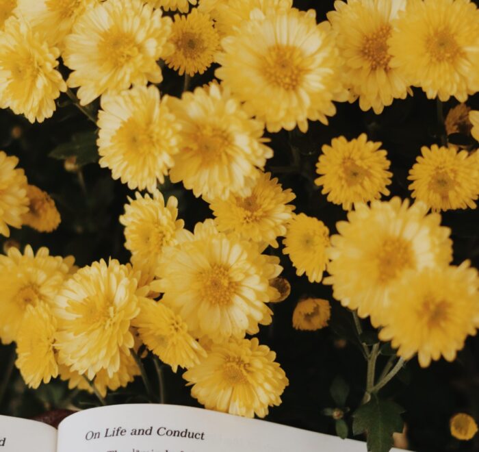 Bible with flowers