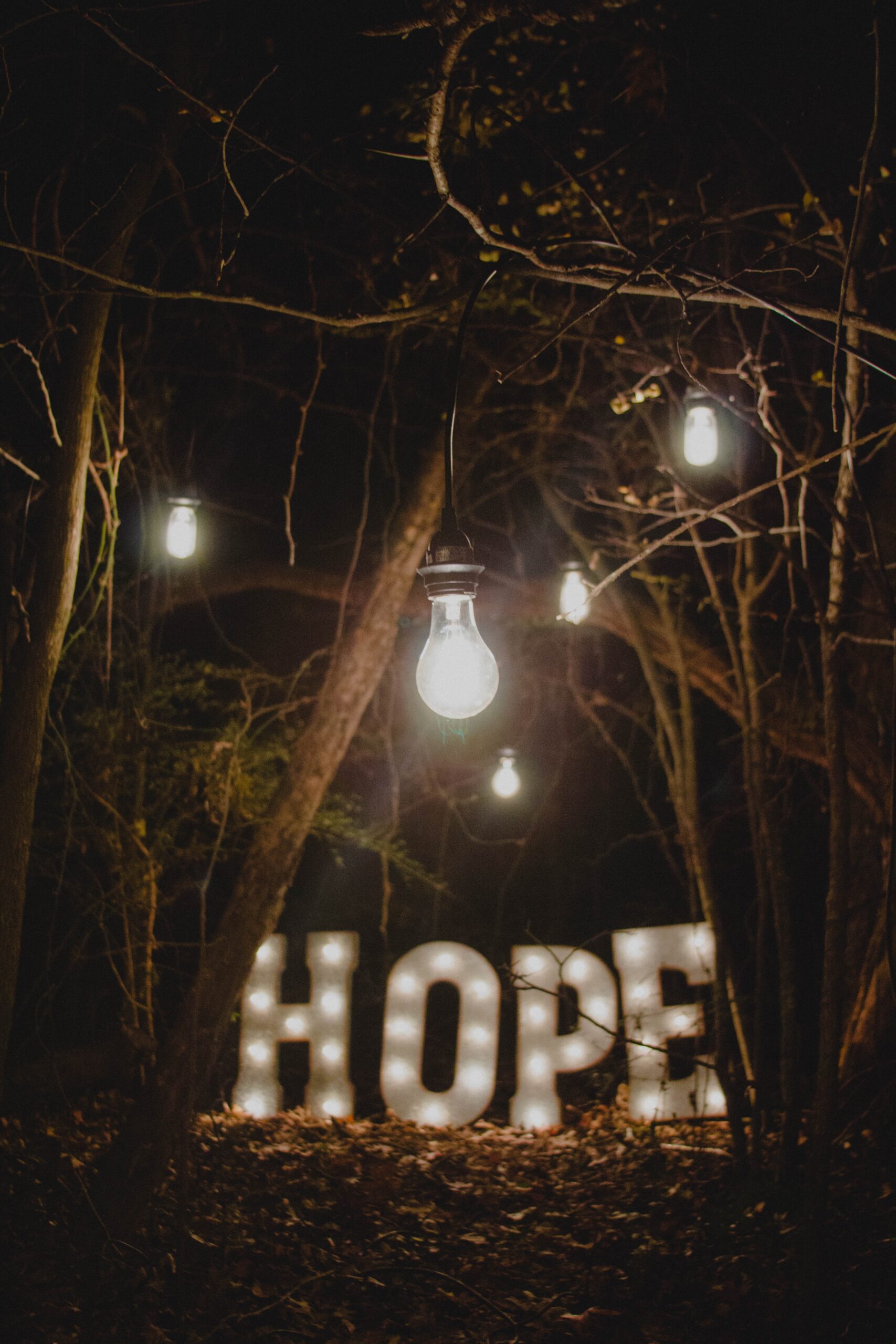 lit forest, sign saying hope