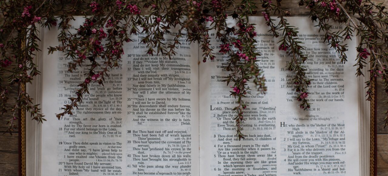 bible with plant over pages