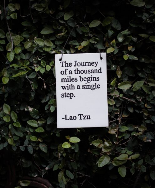 Lao Tzu quote: The Journey of a thousand miles begins with a single step.