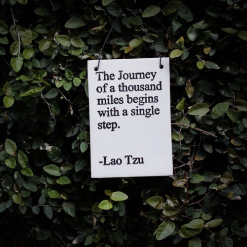 Lao Tzu quote: The Journey of a thousand miles begins with a single step.