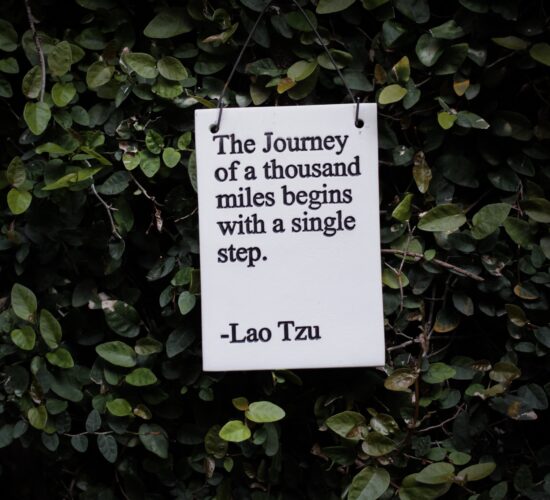 Lao Tzu quote: The Journey of a thousand miles begins with a single step.