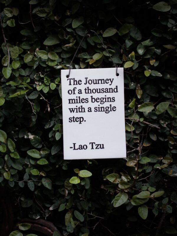 Lao Tzu quote: The Journey of a thousand miles begins with a single step.