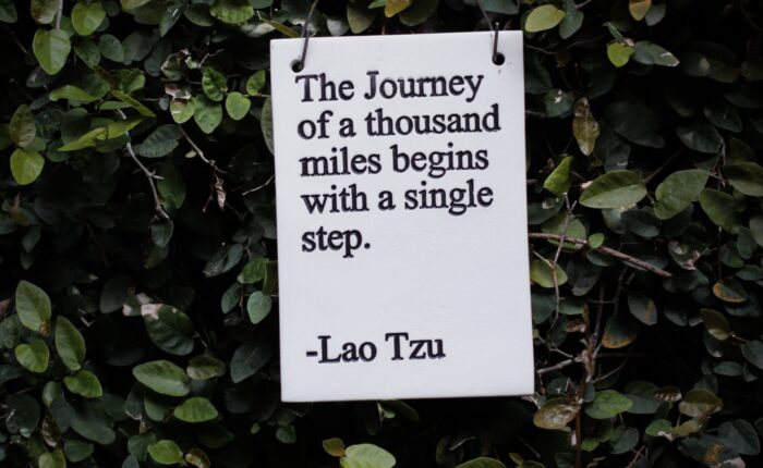 Lao Tzu quote: The Journey of a thousand miles begins with a single step.