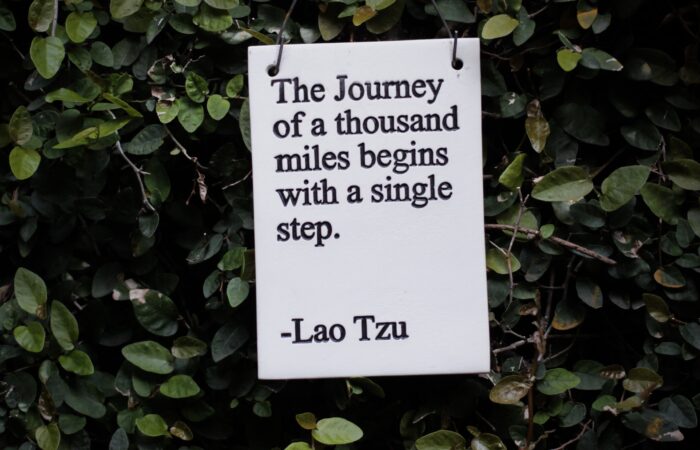 Lao Tzu quote: The Journey of a thousand miles begins with a single step.