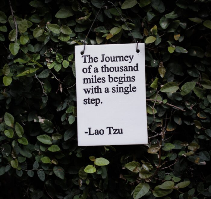 Lao Tzu quote: The Journey of a thousand miles begins with a single step.